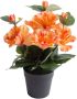 Botanic-Haus Kunstbloem Hibiscus in pot (1 stuk) - Thumbnail 1