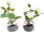 Botanic-Haus Kunstbloem Rozen in het glas (set 2 stuks) - Thumbnail 1