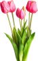 Nova Nature PSO Classic Tulip Bundle Sally x7 beauty 47 cm kunstbloemen - Thumbnail 2