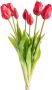 Nova Nature Bosje Tulpen Sally Classic rood kunstbloem - Thumbnail 2