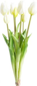 Botanic-Haus Kunstbloem Tulpenbundel (1 stuk)