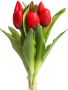 Botanic-Haus Kunstbloem Willa Bos tulpen in 7-delige set (set 7 stuks) - Thumbnail 1