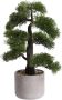 Botanic-Haus Kunstbonsai Ceder Bonsai (1 stuk) - Thumbnail 1