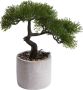 Botanic-Haus Kunstbonsai Ceder Bonsai (1 stuk) - Thumbnail 1