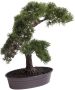 Botanic-Haus Kunstbonsai Cedern Bonsai (1 stuk) - Thumbnail 1