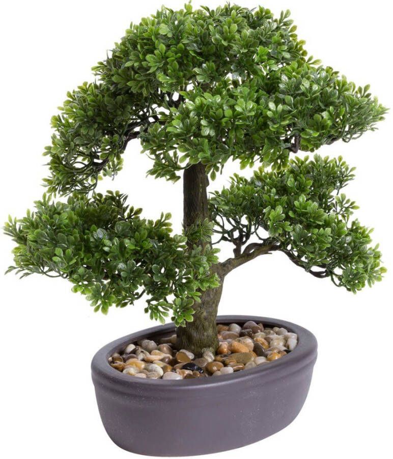 Botanic-Haus Kunstbonsai Ficus bonsai (1 stuk)