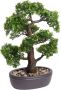 Shoppartners Kantoor kunstplant Bonsai boom in bruine pot 43 cm Kunstplanten - Thumbnail 2