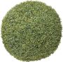 Botanic-Haus Kunstboom Buxusbol (1 stuk) - Thumbnail 1