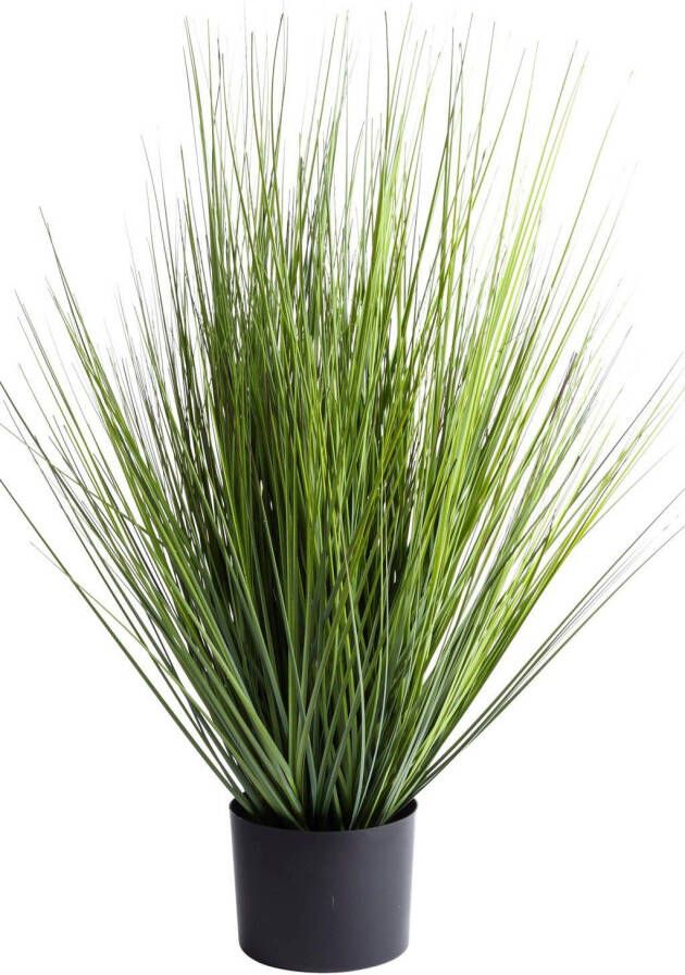 Botanic-Haus Kunstgras Grasarrangement King Festuca (1 stuk)