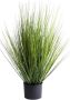 Botanic-Haus Kunstgras Grasarrangement King Festuca (1 stuk) - Thumbnail 1