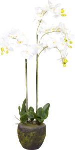 Botanic-Haus Kunstorchidee Orchidee (1 stuk)