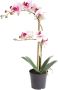 Warentuin Phalaenopsis Orchidee in pot 50 cm roze kunstplant Nova Nature - Thumbnail 2