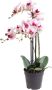 Warentuin Phalaenopsis Orchidee In Pot 60 cm roze kunstplant Nova Nature - Thumbnail 2