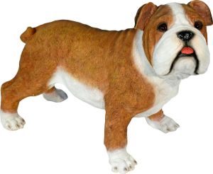 Casa Collection by Jänig Decoratief figuur Bulldog staand bruin-wit