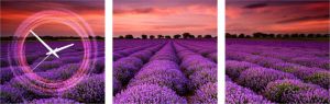 Conni Oberkircher´s Beeld met klok Purper lavendelveld II met decoratieve klok landschap panorama ontspanning (set)