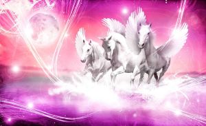 Consalnet Fotobehang Witte Pegasus