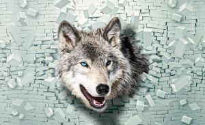 Consalnet Fotobehang Wolf komt uit de wand