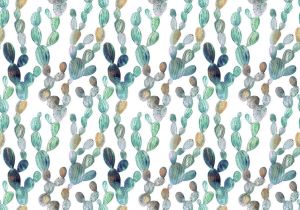 Consalnet Vliesbehang Cactussen in verschillende maten