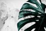 Consalnet Vliesbehang Groene gatenplant bloem - Thumbnail 1