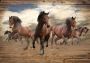Consalnet Vliesbehang Paarden in verschillende maten - Thumbnail 1