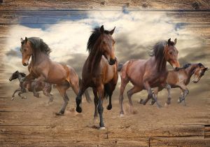 Consalnet Vliesbehang Paarden in verschillende maten