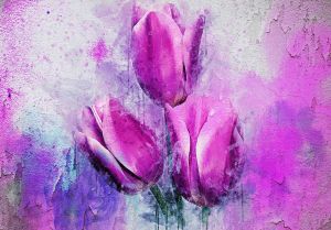 Consalnet Vliesbehang Roze Tulpen