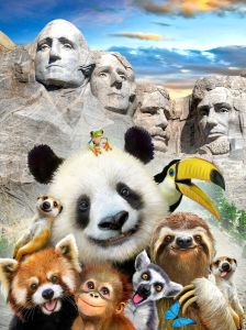Consalnet Vliesbehang Selfies dieren uit de dierentuin in verschillende maten