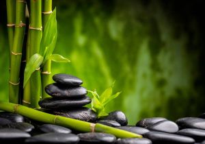 Consalnet Vliesbehang SPA bamboe in verschillende maten