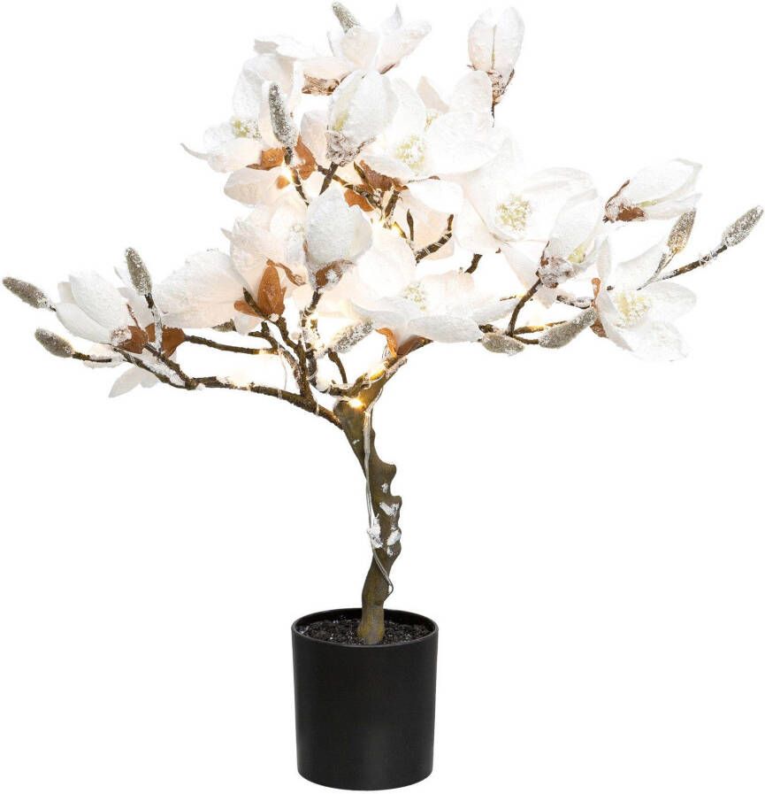 Creativ deco Kunstplant MAGNOLIE besneeuwd met 20 led's