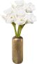 Creativ deco Siervaas Kerst versiering met hoogwaardige amaryllis (set 4 stuks) - Thumbnail 1