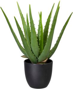 Creativ green Kunst-potplanten Aloe (1 stuk)