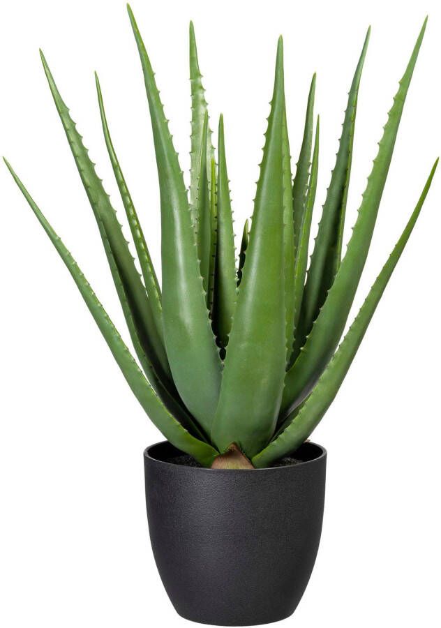Creativ green Kunst-potplanten Aloe (1 stuk)