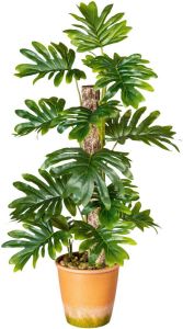 Creativ green Kunst-potplanten Bladplant Monstera in de paperpot (1 stuk)