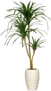 Creativ green Kunst-potplanten Dracaena marginata in keramische vaas (1 stuk)