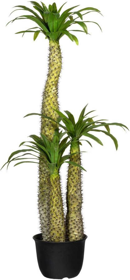 Creativ green Kunst-potplanten Madagaskarpalme Pachypodium (1 stuk)