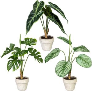 Creativ green Kunst-potplanten Set van groene planten in een cementpot set van 3 (3 stuks)