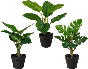 Creativ green Kunst-potplanten Set van groene planten set van 3 (3 stuks)
