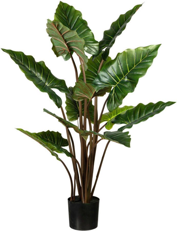 Creativ green Kunst-potplanten Taroplant (1 stuk)
