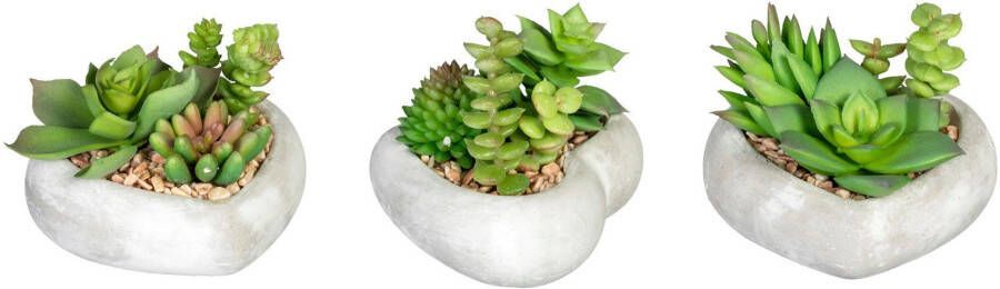 Creativ green Kunst-potplanten Vetplanten-arrangement in cementkom set van 3 (3 stuks)