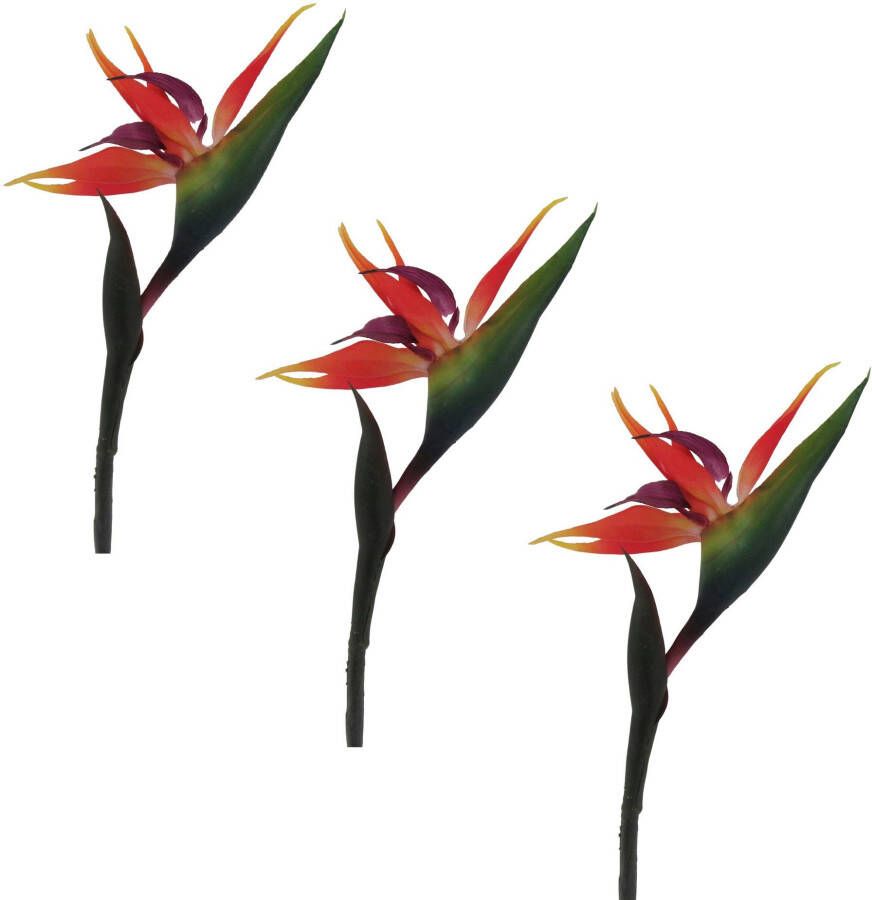 Creativ green Kunstbloem Strelitzia (3 stuks)