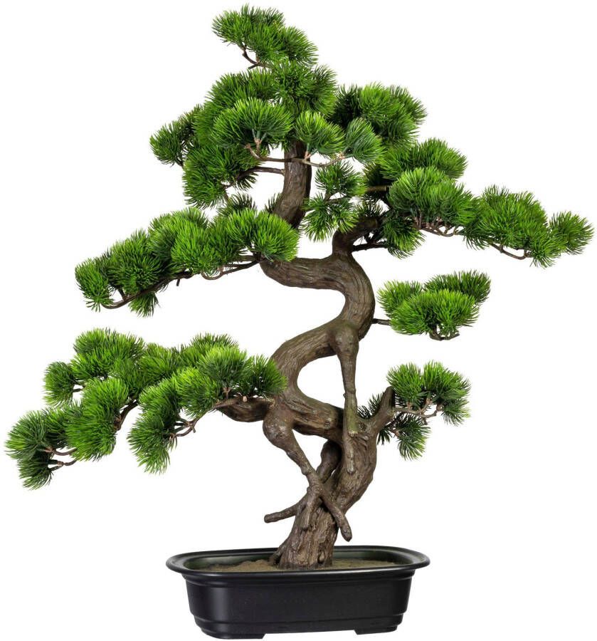 Creativ green Kunstbonsai Bonsai grenen (1 stuk)