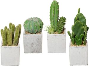 Creativ green Kunstcactus Cactus set van 4 in een cementpot (4 stuks)