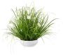 Creativ green Kunstgras Grasmix met cosmea (1 stuk) - Thumbnail 1