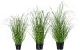 Creativ green Kunstgras Miscanthus (set 3 stuks) - Thumbnail 1