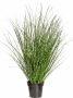 Creativ green Kunstgras Miscanthus Zebrinus (1 stuk) - Thumbnail 1