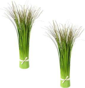 Creativ green Kunstgras Staande grasstruik in een set van 2 (2 stuks)