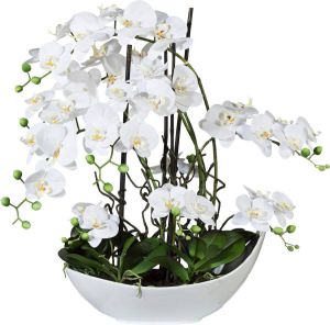 Creativ green Kunstorchidee Vlinderorchidee 68 cm wit in keramische kom (1 stuk)