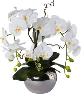 Creativ green Kunstorchidee Vlinderorchidee in een keramische pot (1 stuk)