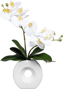 Creativ green Kunstorchidee Vlinderorchidee in keramische vaas (1 stuk)