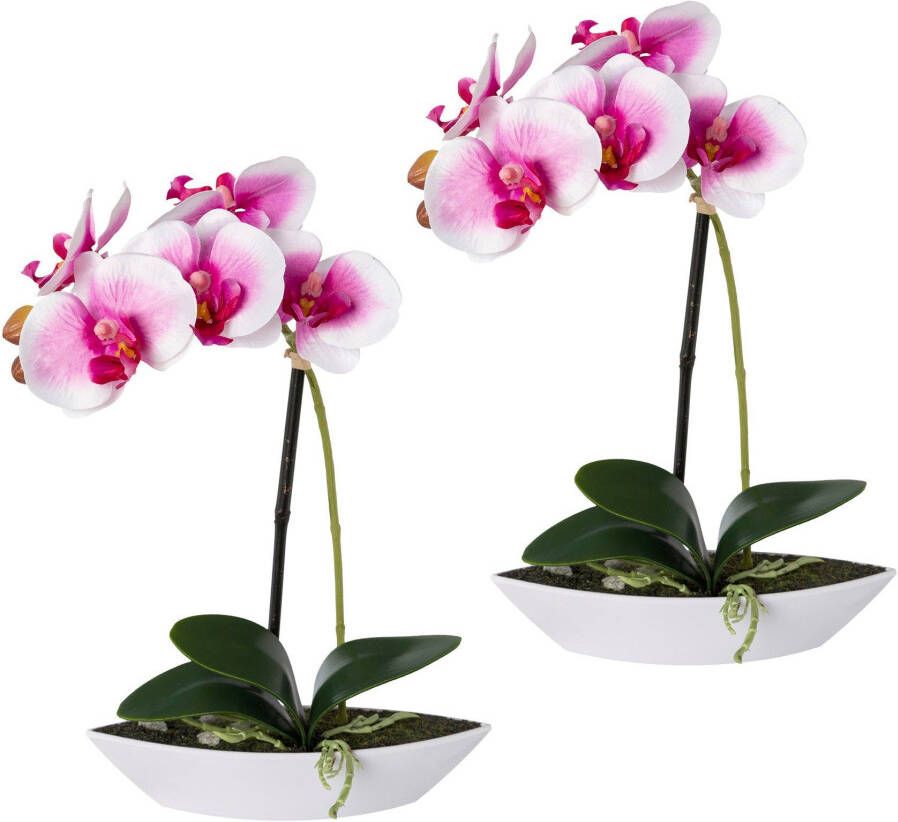Creativ green Kunstorchidee Vlinderorchidee set van 2 in een plastic bakje (2 stuks)